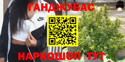 мдпв Можга