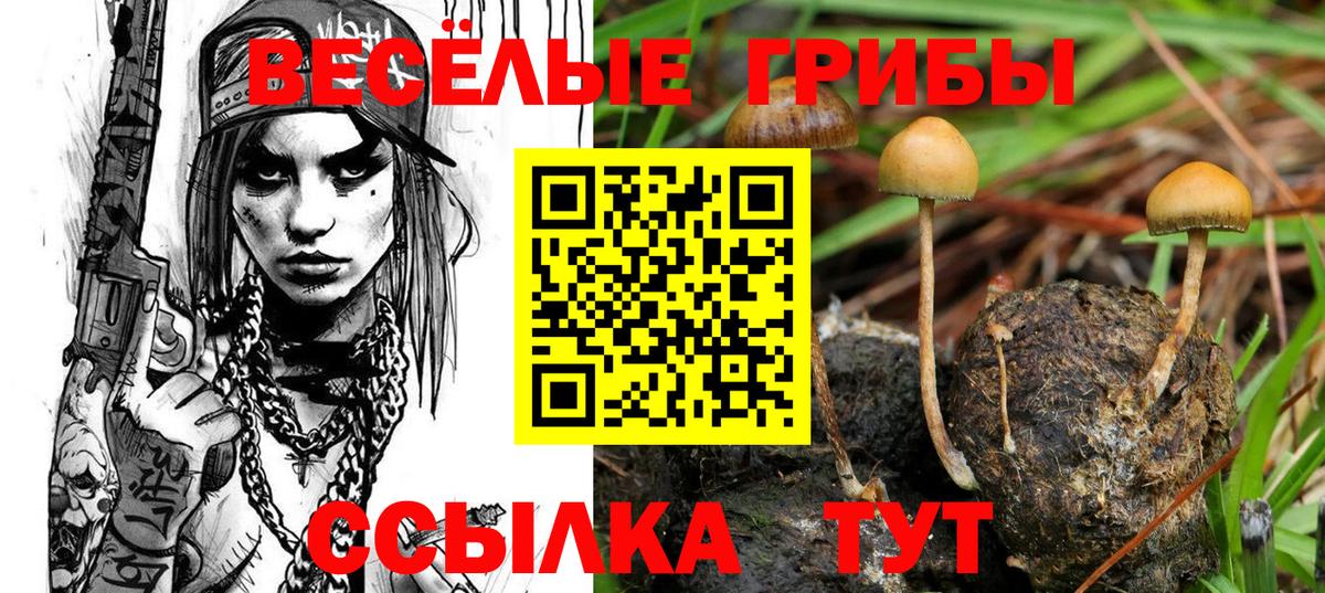 Галлюциногенные грибы прущие грибы Северобайкальск