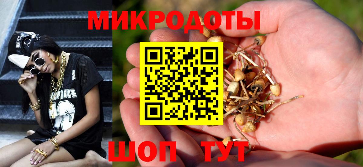 Псилоцибиновые грибы прущие грибы  Псилоцибиновые грибы MAGIC MUSHROOMS  Северобайкальск  Вход с VPN 